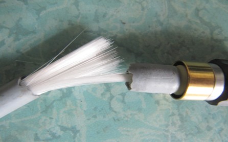 1547000440896689.jpg 家1.jpg